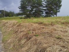 長野県上伊那郡飯島町七久保売地