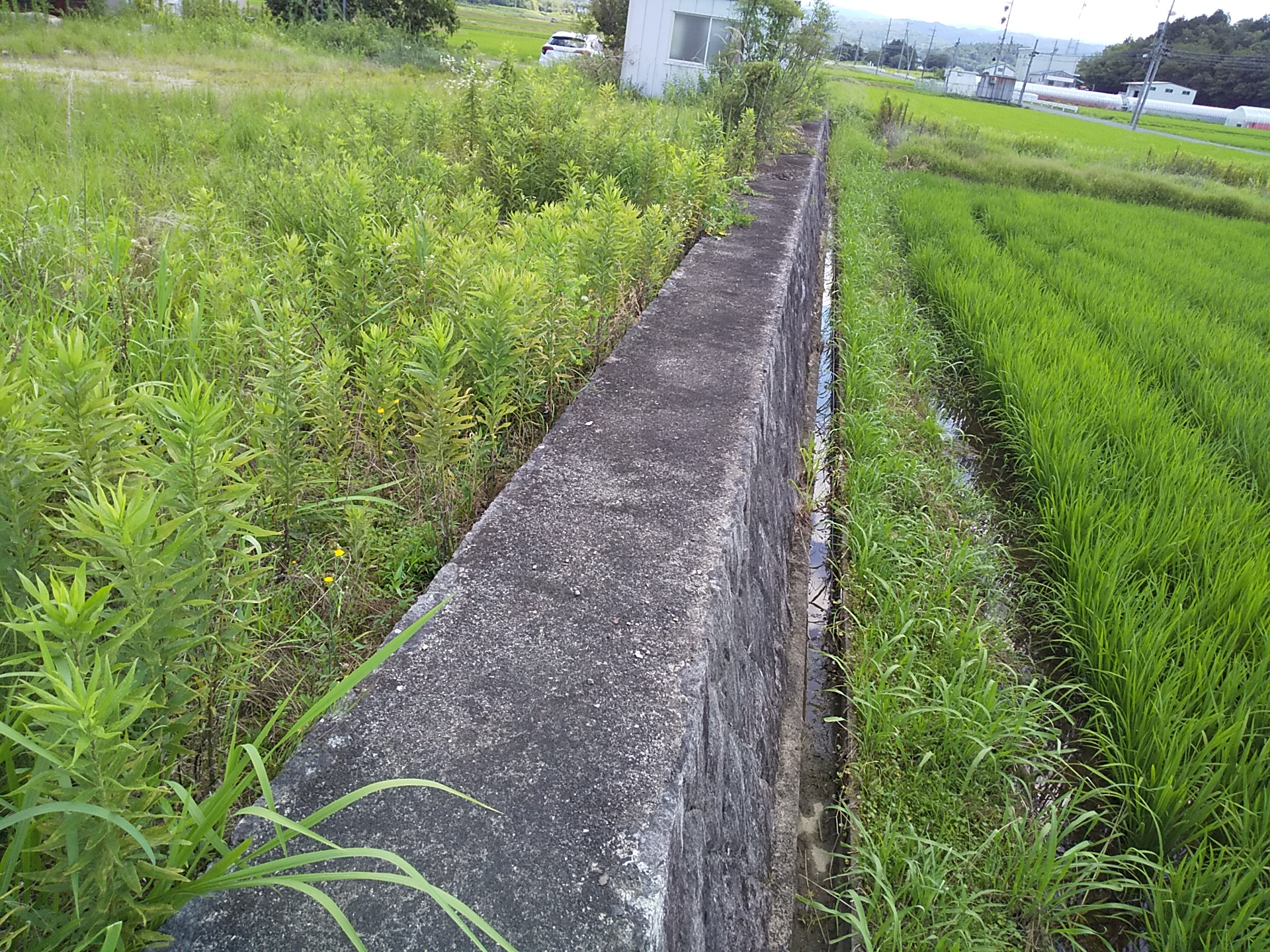 三重県伊賀市下友生売戸建住宅