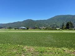 長野県上伊那郡飯島町飯島売地