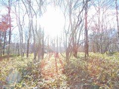 長野県南佐久郡南牧村海ノ口売地