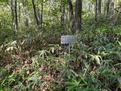 長野県下伊那郡阿智村浪合売地
