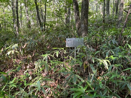 長野県下伊那郡阿智村浪合売地
