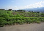 長野県上伊那郡飯島町七久保売地