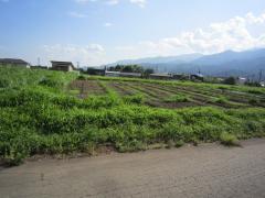 長野県上伊那郡飯島町七久保売地