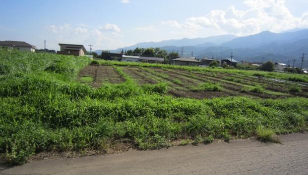 長野県上伊那郡飯島町七久保売地
