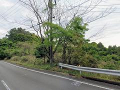 三重県熊野市波田須町売地
