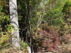 長野県駒ヶ根市赤穂売地