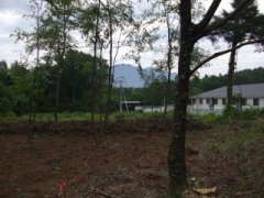 山梨県北杜市高根町下黒澤売地