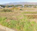 長野県駒ヶ根市赤穂売地