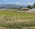 長野県上伊那郡飯島町七久保売地