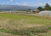 長野県上伊那郡飯島町七久保売地