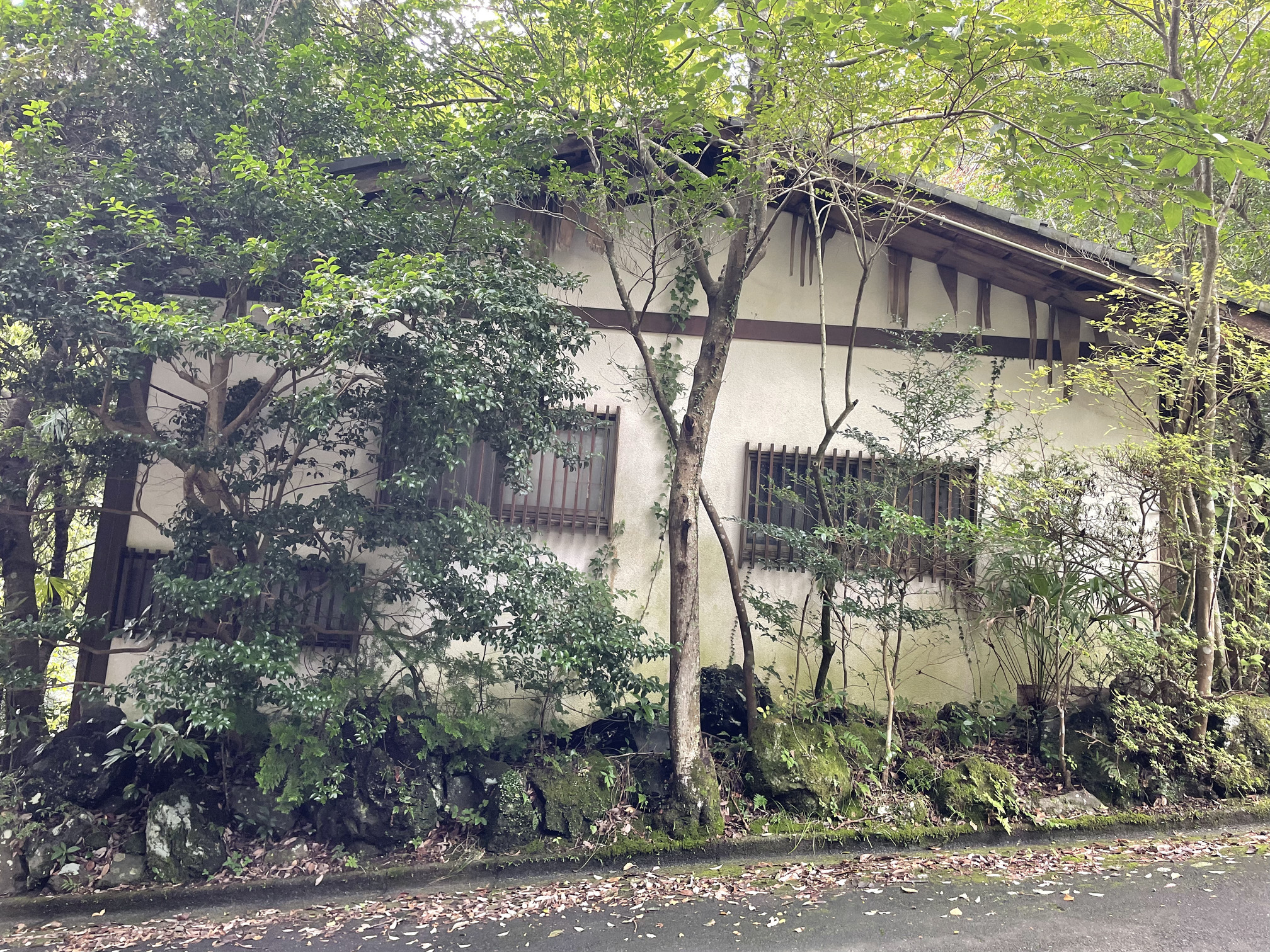 静岡県伊東市赤沢売地