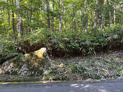 長野県下伊那郡阿智村浪合売地