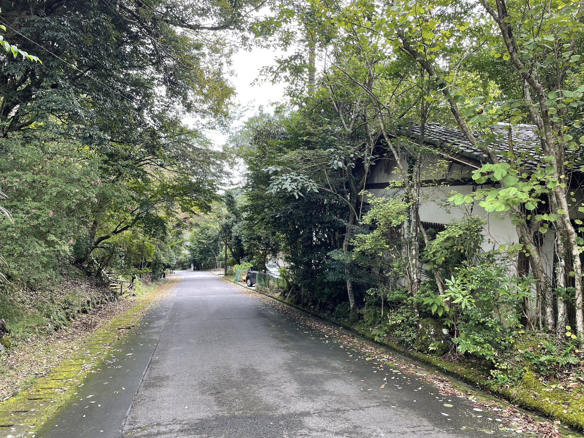 静岡県伊東市赤沢売地