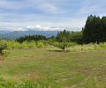長野県下伊那郡松川町上片桐売地
