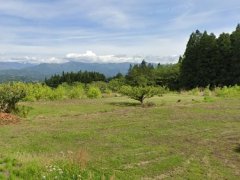 長野県下伊那郡松川町上片桐売地