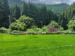 三重県名張市長瀬売地