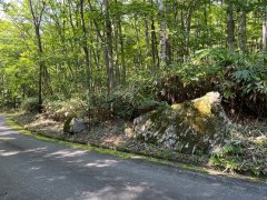 長野県下伊那郡阿智村浪合売地