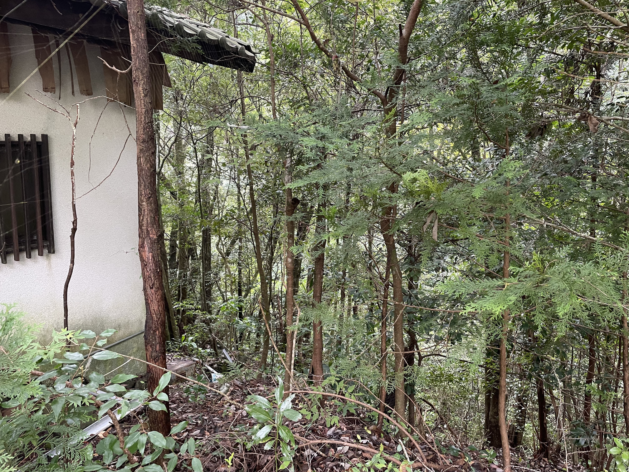 静岡県伊東市赤沢売地