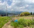 長野県上伊那郡飯島町七久保売地
