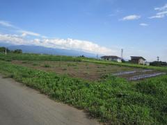 長野県上伊那郡飯島町七久保売地
