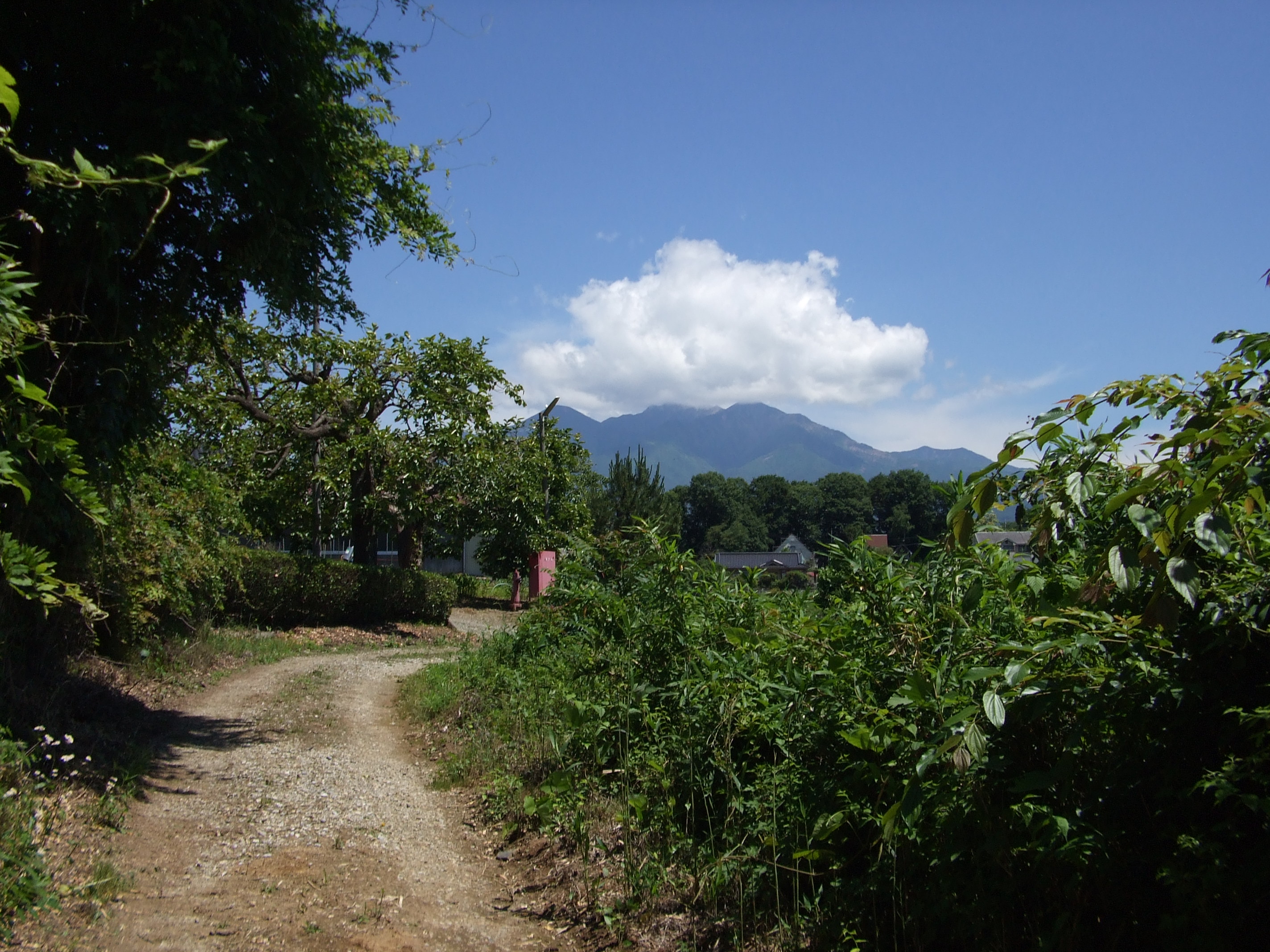 山梨県北杜市長坂町中丸売地