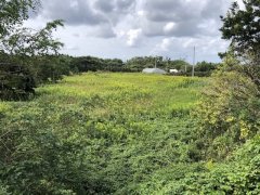 新潟県佐渡市八幡売地