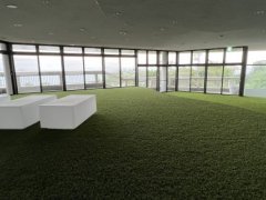 愛知県西尾市吉良町宮崎鉢貫売地