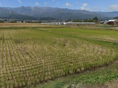 長野県上伊那郡飯島町七久保売地