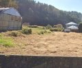 長野県上伊那郡中川村大草売地