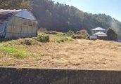 長野県上伊那郡中川村大草売地