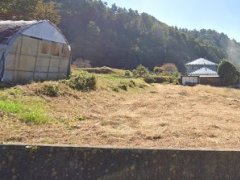 長野県上伊那郡中川村大草売地