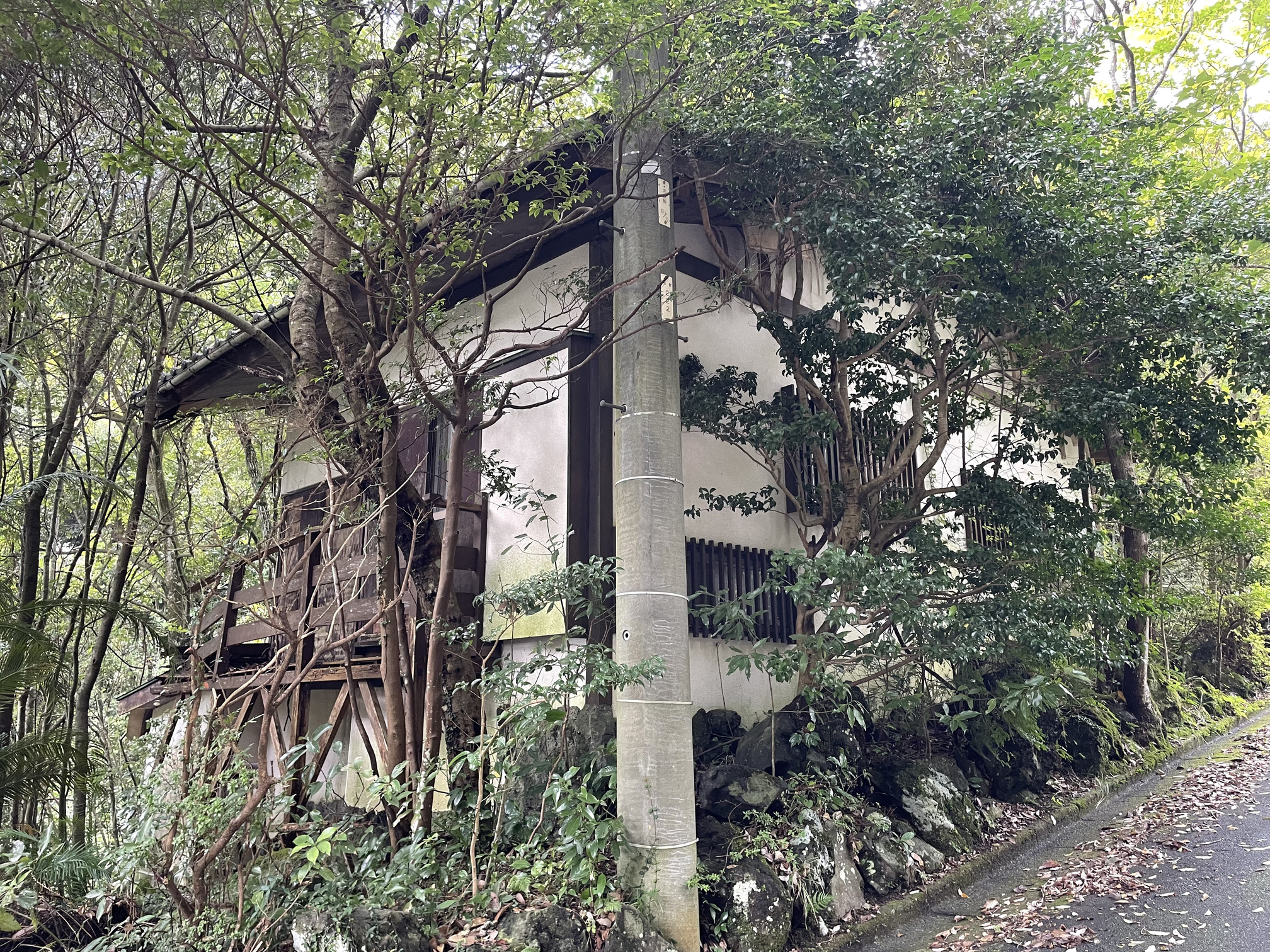 静岡県伊東市赤沢売地