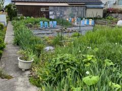 長野県駒ヶ根市赤穂売地