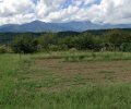 長野県上伊那郡中川村大草売地