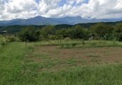 長野県上伊那郡中川村大草売地