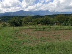 長野県上伊那郡中川村大草売地