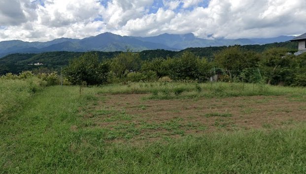 長野県上伊那郡中川村大草売地