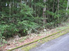 長野県下伊那郡阿智村浪合売地