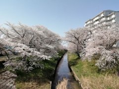 愛知県岡崎市稲熊町3丁目売地