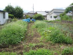 長野県駒ヶ根市南田売地
