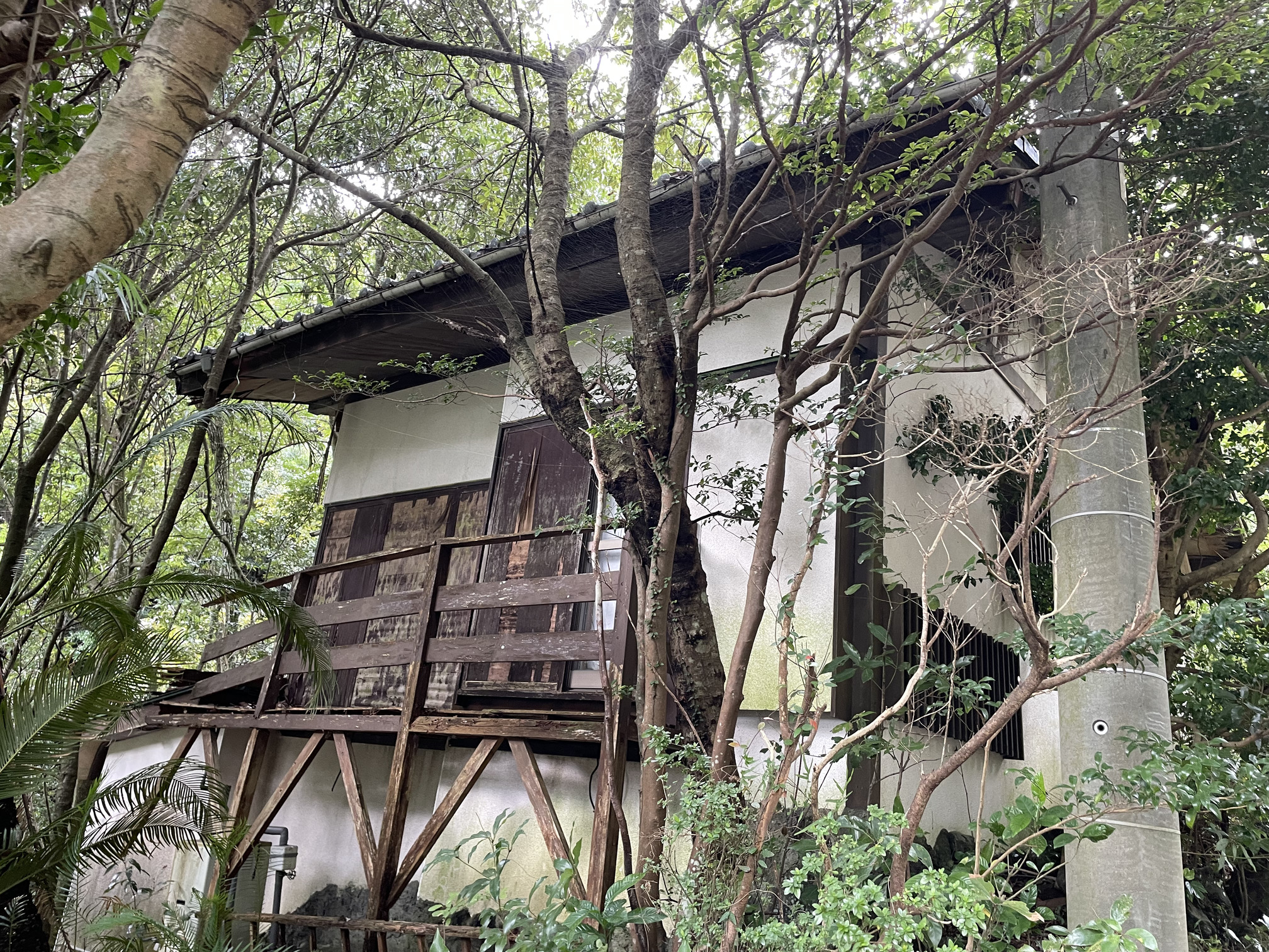 静岡県伊東市赤沢売地