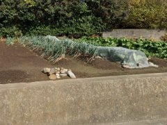 長野県駒ヶ根市赤穂売地
