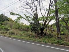 三重県熊野市波田須町売地
