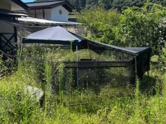 長野県伊那市高遠町長藤売戸建住宅
