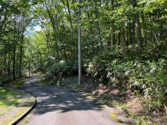 長野県下伊那郡阿智村浪合売地