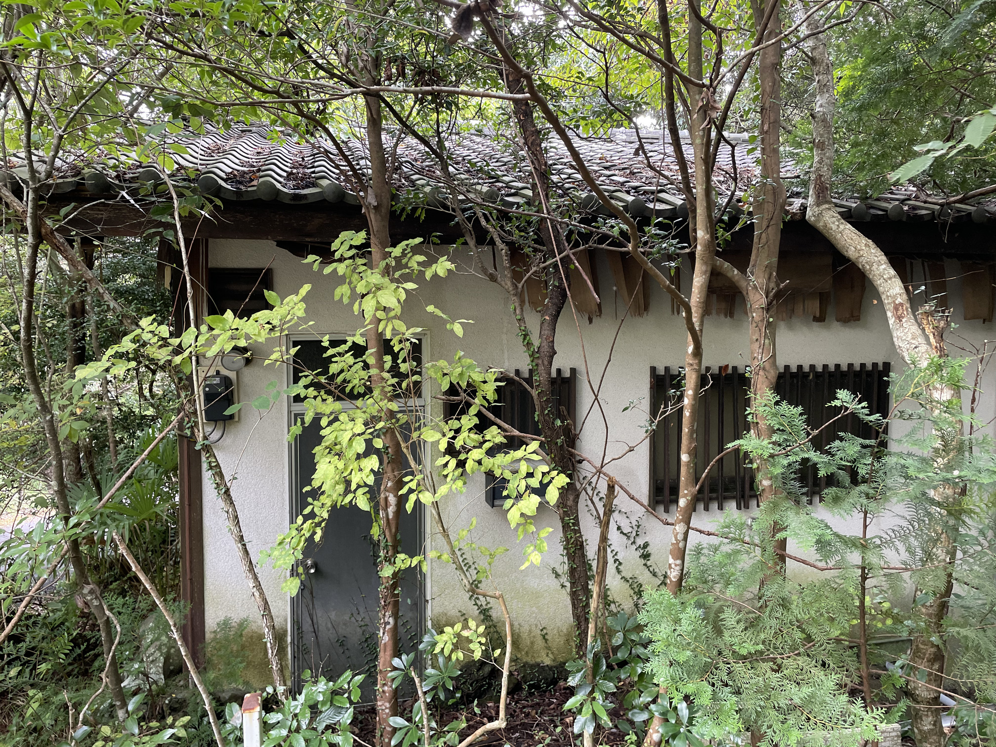 静岡県伊東市赤沢売地