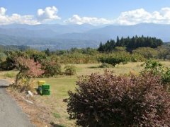 長野県下伊那郡松川町上片桐売地