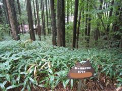 長野県駒ヶ根市赤穂借地権譲渡