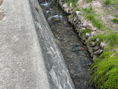 長野県駒ヶ根市経塚売地